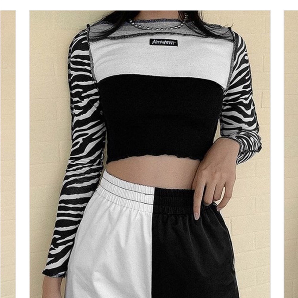 Zebra Striped Crop Long Sleeve T-shirt